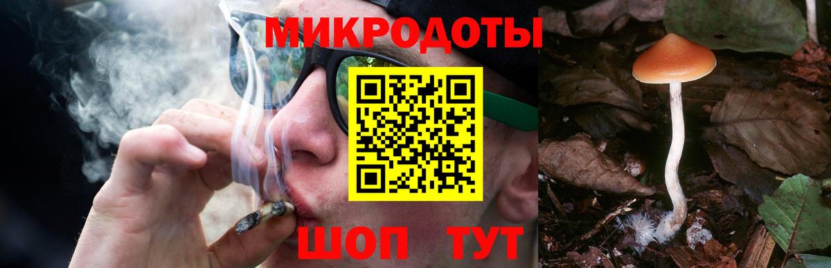 Псилоцибиновые грибы прущие грибы Чита