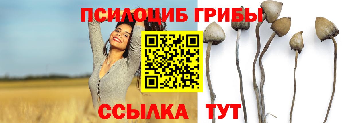 купить   Псилоцибиновые грибы мицелий  Вход с VPN  Псилоцибиновые грибы ЛСД  Чита 